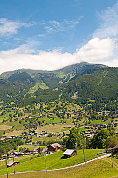 少女峰,瑞士,高山牧场,格林德威尔,艾格尔峰