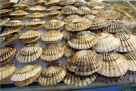海鲜市场贝壳