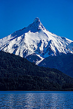 火山,湖,蔷薇目,巴塔哥尼亚,智利