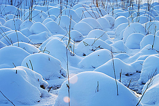 草原湿地雪景