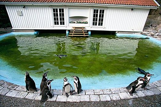 动物园,瑞典