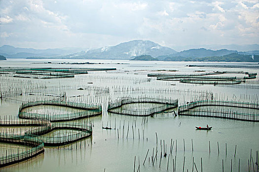 福建福鼎市江边村八尺门围网