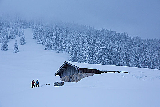 滑雪,正面,小屋,冬天,兰格丽斯,巴伐利亚,德国