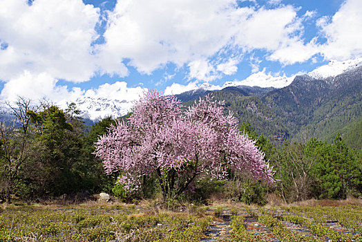 喜马拉雅山南麓