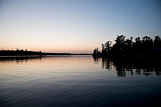 反射,树,水中,黄昏,湖,木头,安大略省,加拿大