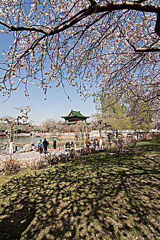 春到人民公園