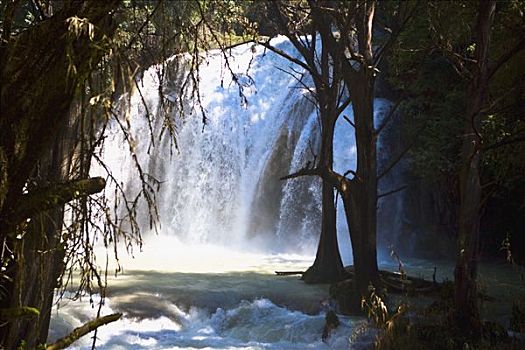 瀑布,树林,恰帕斯,墨西哥