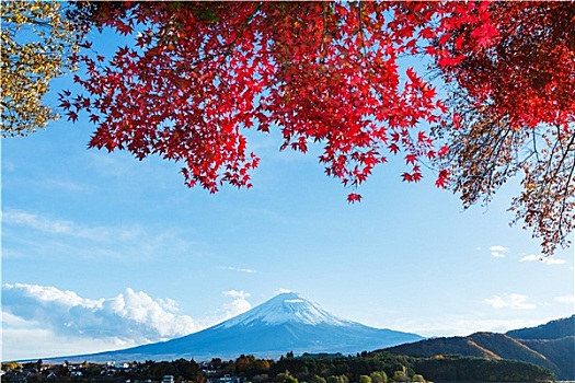 山,富士山,秋天