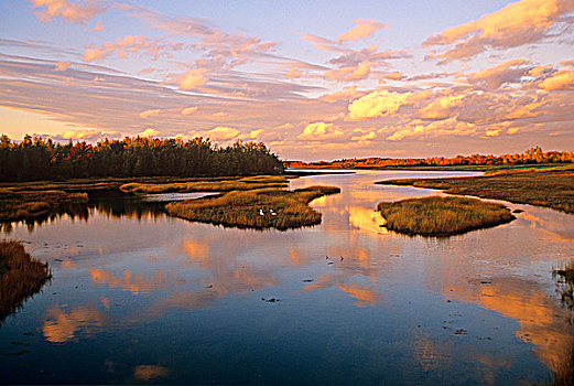 新布兰斯维克,加拿大,河,鹅,云,反射