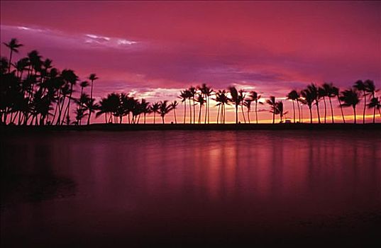 夏威夷,夏威夷大岛,湾,日落,椰树