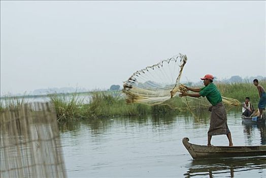 缅甸,男人,抓住,鱼,独木舟,网,曼德勒,东南亚