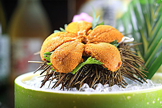 日本料理海胆