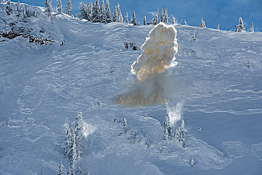 爆炸品,控制,雪崩,滑雪胜地