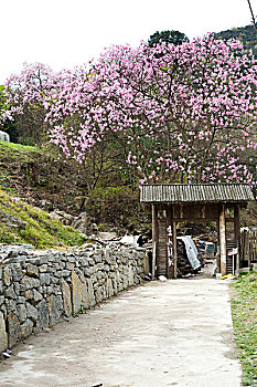 四川北川药王谷