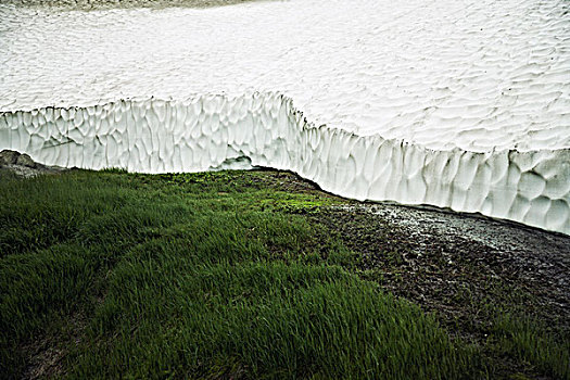 草,冰河,堪察加半岛,俄罗斯