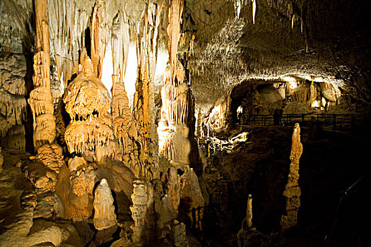 洞穴,区域,斯洛文尼亚,欧洲
