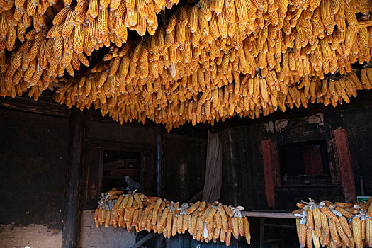 诺邓古村落的玉米晒房
