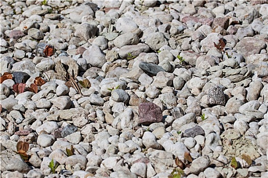 鹅卵石,石头