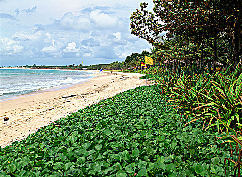 海滩,胜地,巴厘岛,印度尼西亚