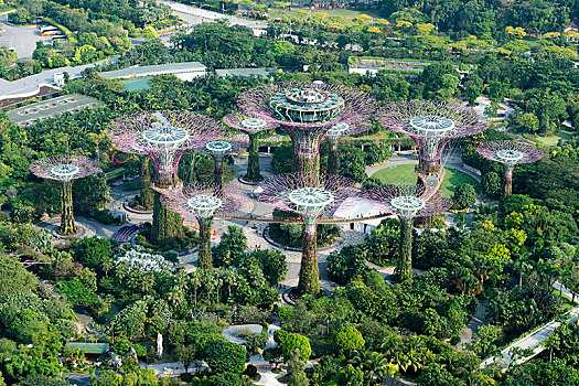 俯视图,花园,新加坡