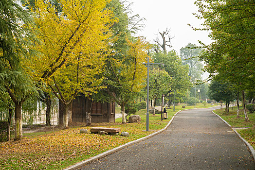 池州市,杏花村