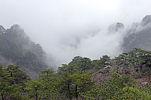 黄山,奇石,云海,壮观,名胜,风景,0237