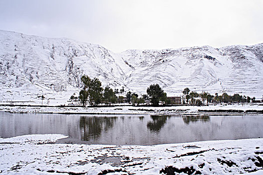 新都桥雪景