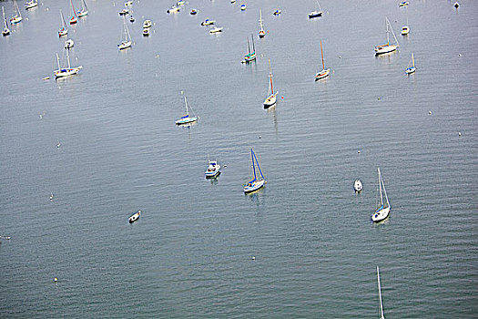 船,水,纽波特,罗德岛,美国