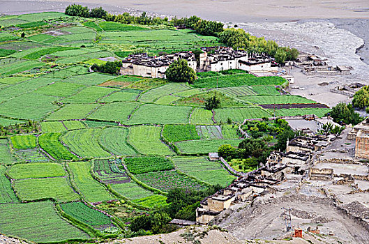 尼泊尔,种植,地点,乡村