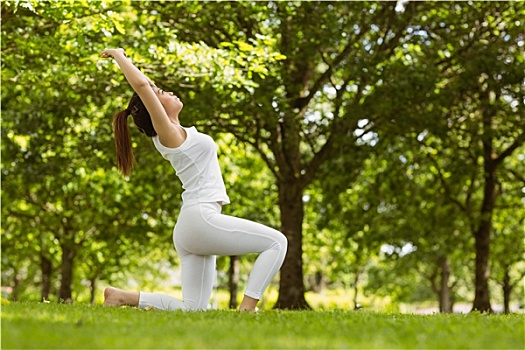 健康,女人,伸展,练习,公园