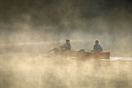 伴侣,独木舟,湖,雾,安大略省,加拿大
