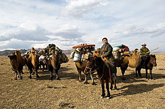 游牧,移动,露营,骆驼