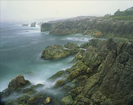 海岸线,雾,布雷顿角岛,新斯科舍省,加拿大