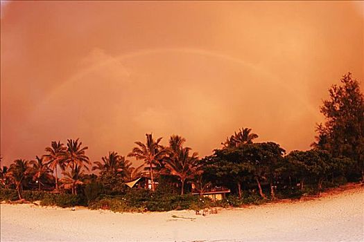 夏威夷,瓦胡岛,北岸,彩虹,拱形,上方,植被,沙滩,日落,橘色,天空
