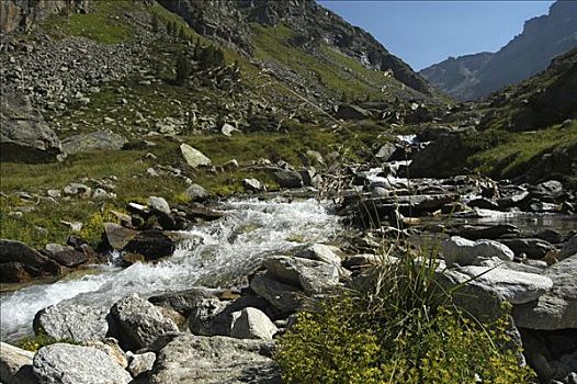 山,湍流,国家公园,陶安,奥地利