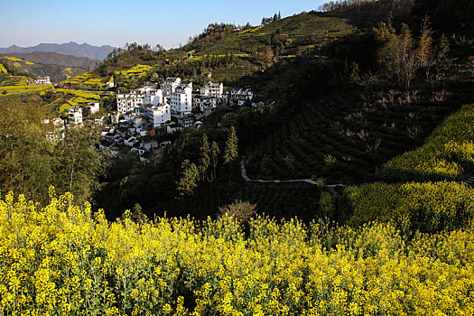 石潭村,安徽,古村落,住宅,建筑,历史,文化,居民,痕迹,村庄,老街