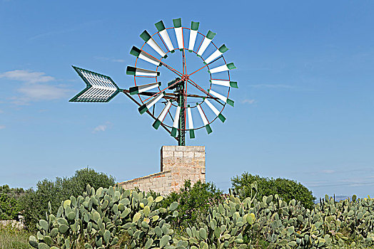 风轮机,马略卡岛,西班牙,欧洲