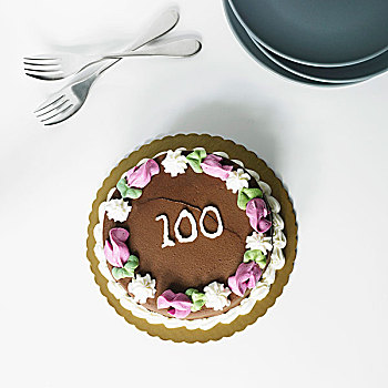 巧克力,生日蛋糕,100