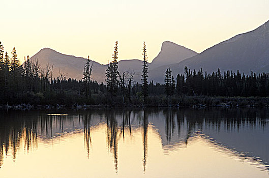 反射,山峦,树,间隙,湖,卡纳纳斯基斯县,加拿大,艾伯塔省