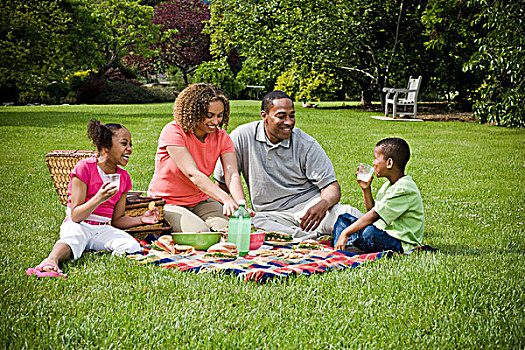 家庭,野餐