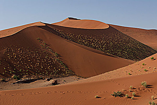 纳米比亚,国家公园,沙漠,沙丘,索苏维来地区