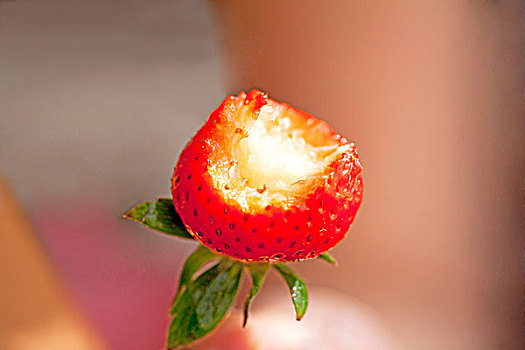 新鲜嫩滑的草莓