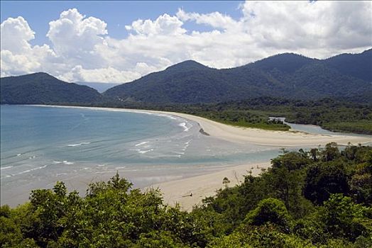 海滩,顶峰,大西洋雨林,大西洋,巴西