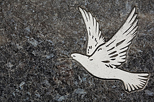 白鸽,纪念,纪念建筑,墓地,蒙特利尔,魁北克,加拿大