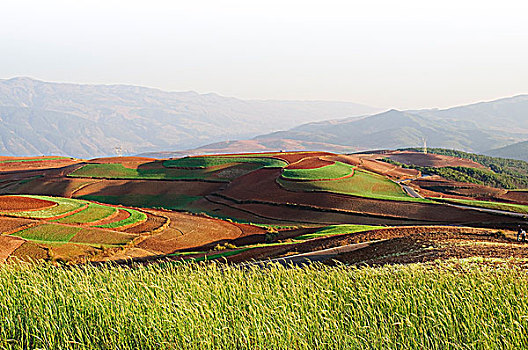 云南东川红土地