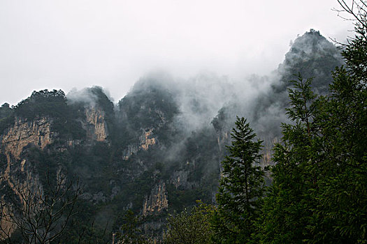 雾景