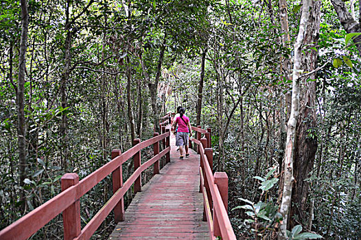 海南五指山里的旅游栈道