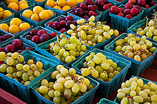 葡萄,水果,农场