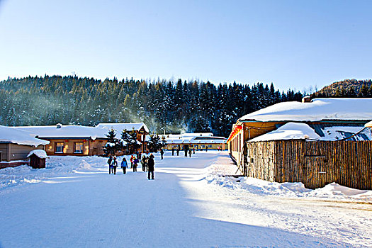 雪乡,双峰林场,村庄,风景,白天,黑龙江,牡丹江