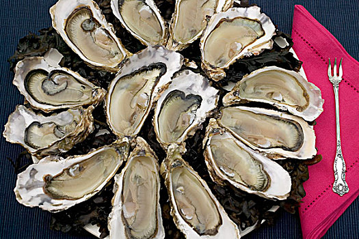 牡蛎,大浅盘,红色,餐巾,银,叉子,布列塔尼半岛,法国